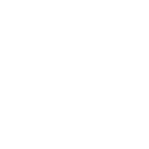 BIDEN 2020 - MASK