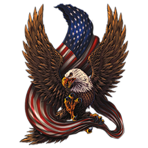 EAGLE WITH AMERICAN FLAG