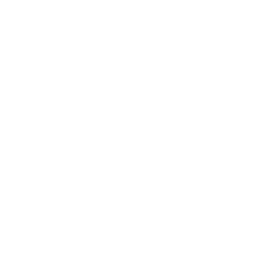 THE SECOND AMENDMENT