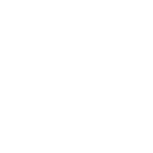 DONT FORGET VOTE - MASK
