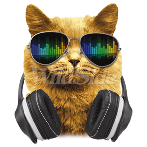 DJ CAT WITH HEADPHONES