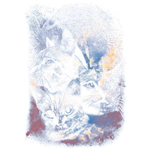 SPACE CATS MOON