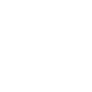 HEAVY METALS