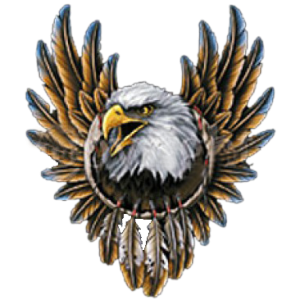 EAGLE WITH FEATHERS