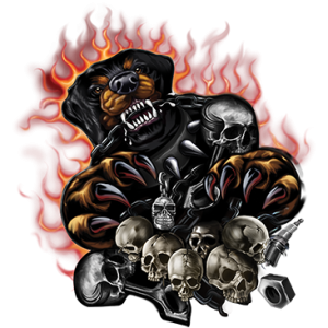 ROTTWEILER ATTACKING - FLAMES
