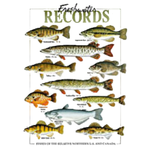 FRESHWATER RECORDS