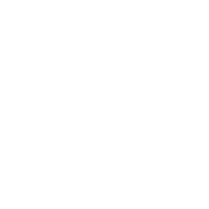 LADY BOSS