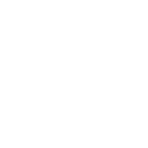 2ND AMENDMENT GUNS IN USA