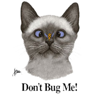 DON'T BUG ME!-CAT