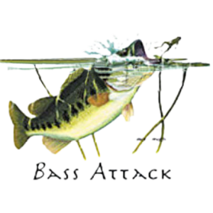 BASS ATTACK (2 PCS)
