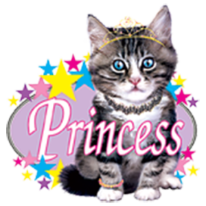 PRINCESS KITTY (Y)