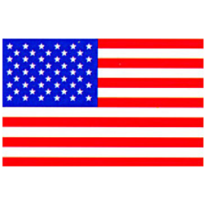AMERICAN FLAG  12