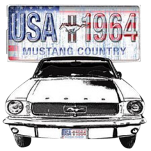 FORD MUSTANG COUNTRY    18