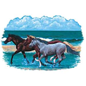 THREE HORSES/BEACH (Y) 32
