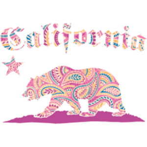CALIFORNIA PINK PAISLEY BEAR