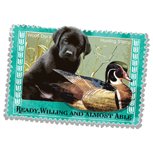 WOOD DUCK HUNTING STAMP