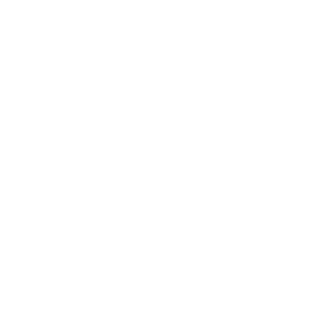 AMERICA F**K YEAH SLEEVE