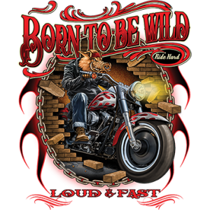 BORN TO BE WILD - HOG ON CYCLE