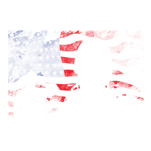 AMERICA STAND AND SALUTE