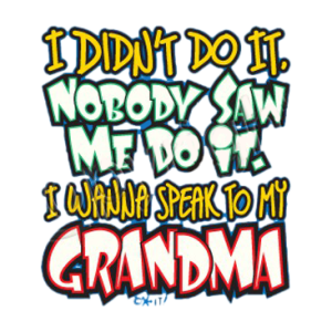 DIDN'T DO IT-GRANDMA      11