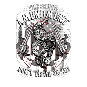 THE SECOND AMENDMENT