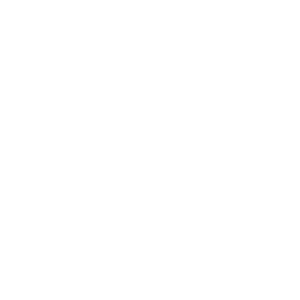 AMERICAN PIRATE FLAG