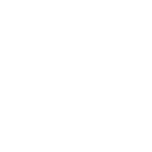 HOMELAND SECURITY STARTS HERE