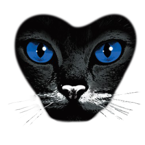 BLUE EYES BLACK CAT