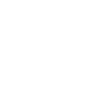 MOSQUITO WAS DRUNK