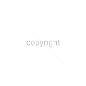 HOW TO PICK UP CHICKS