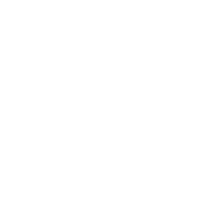 2020 SUCKS