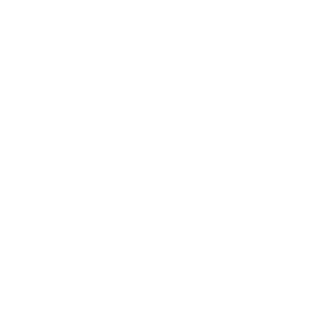 IT IS ALL INDIAN LAND CHIEF