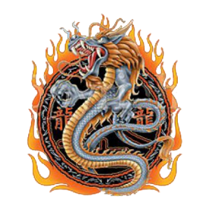 DRAGON WITH FLAMES