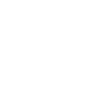 HOCKEY BLOOD SWEAT AND BEARDS