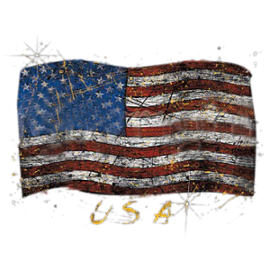 USA FLAG    19